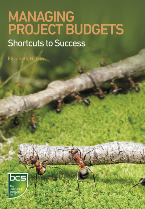 Cover image for book Managing Project Budgets