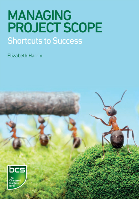 Cover image for book Managing Project Scope