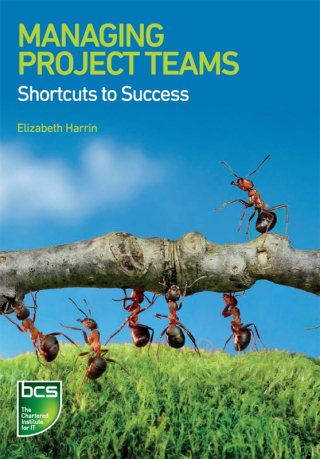 Managing Project Teams