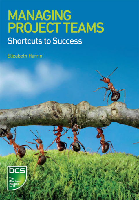 Cover image for book Managing Project Teams