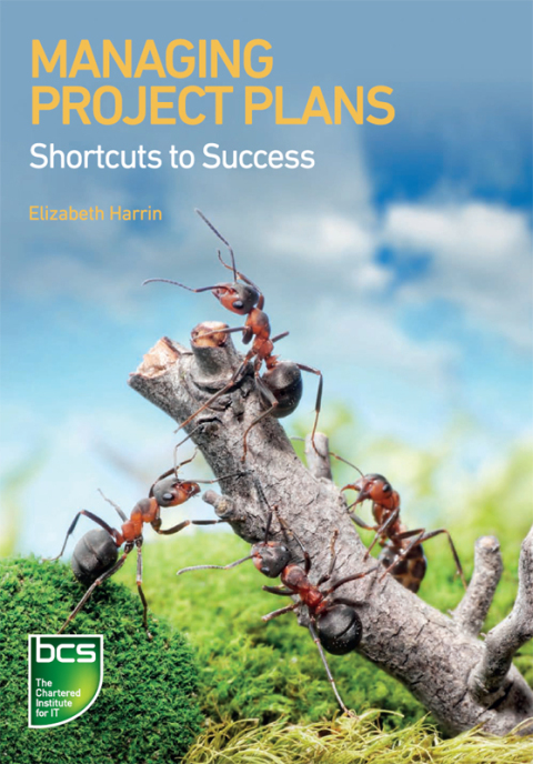 Cover image for book Managing Project Plans