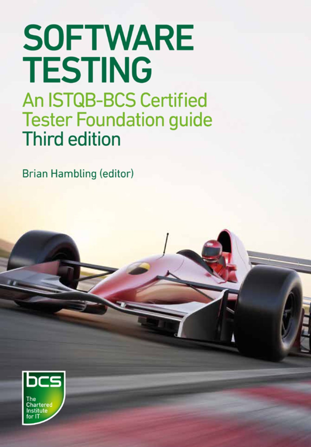 Software Testing - 3rd Edition (eBook)