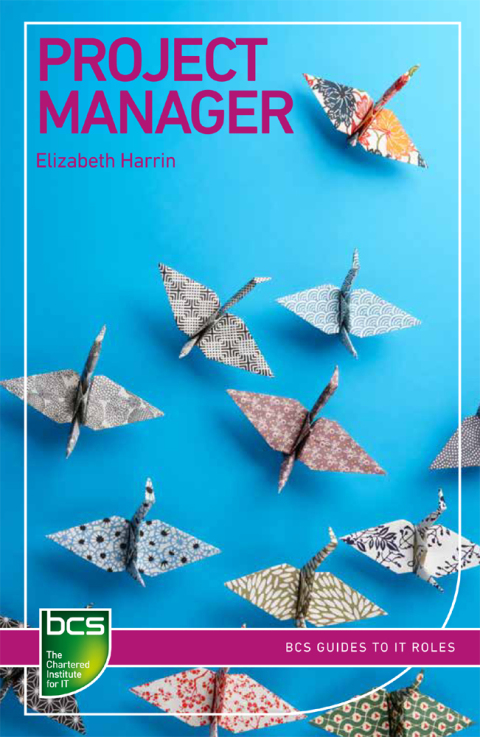 Cover image for book Project Manager