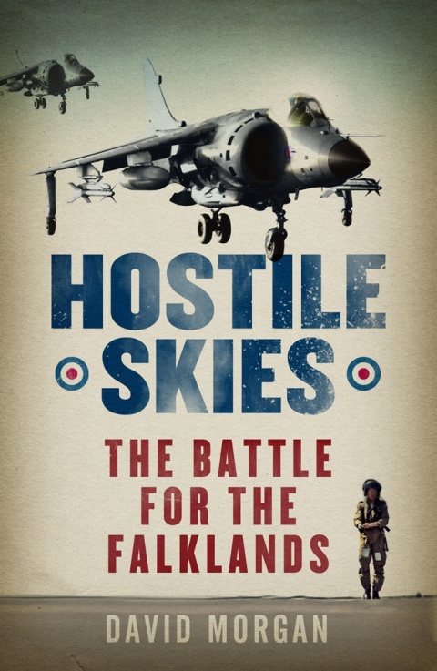 Cover image for book Hostile Skies