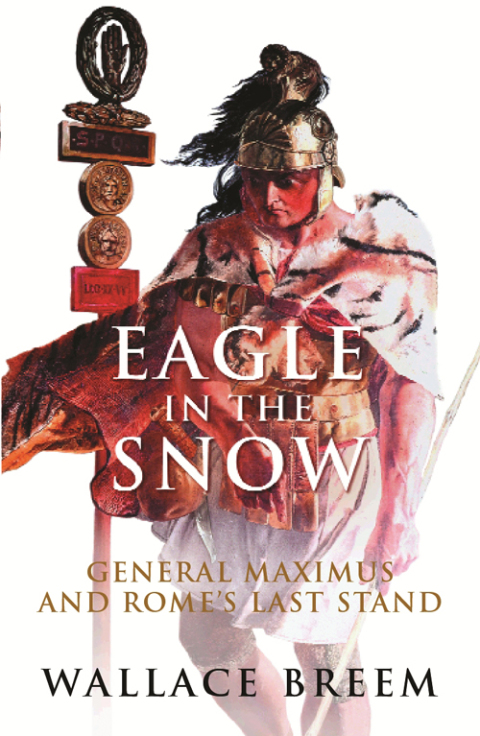 Cover image for book Eagle in the Snow