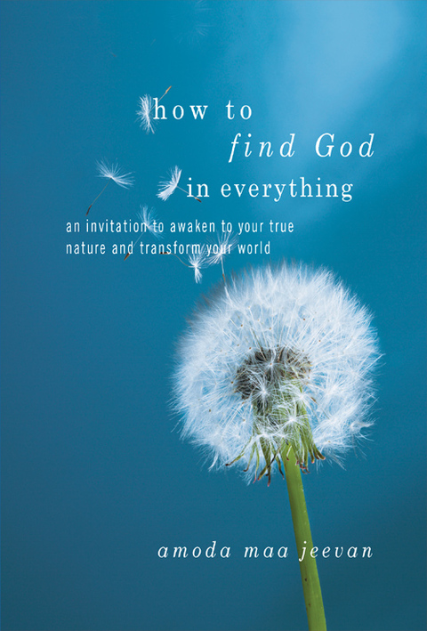 Cover image for book How to Find God in Everything
