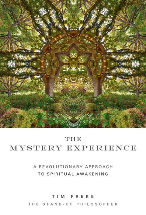 Cover image for book The Mystery Experience