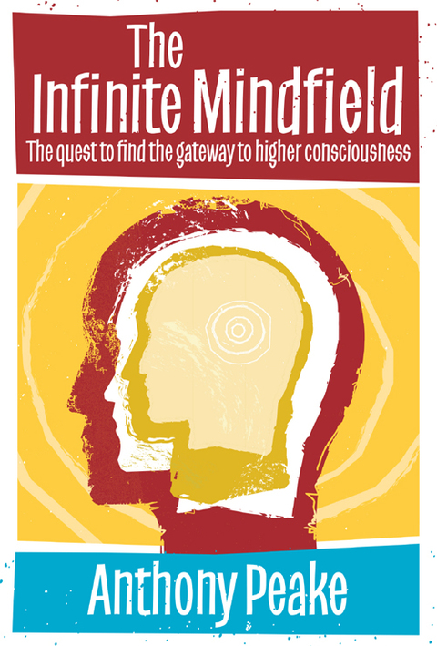 Cover image for book The Infinite Mindfield