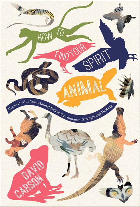 Cover image for book How to Find Your Spirit Animal