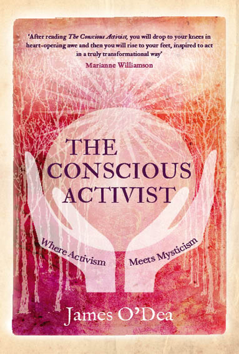 Cover image for book The Conscious Activist