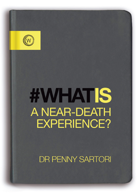 Cover image for book What Is a Near-Death Experience?