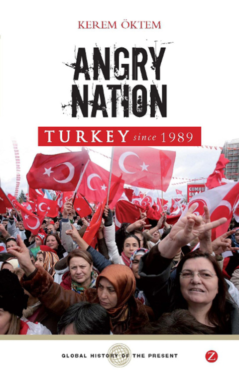 Cover image for book Angry Nation