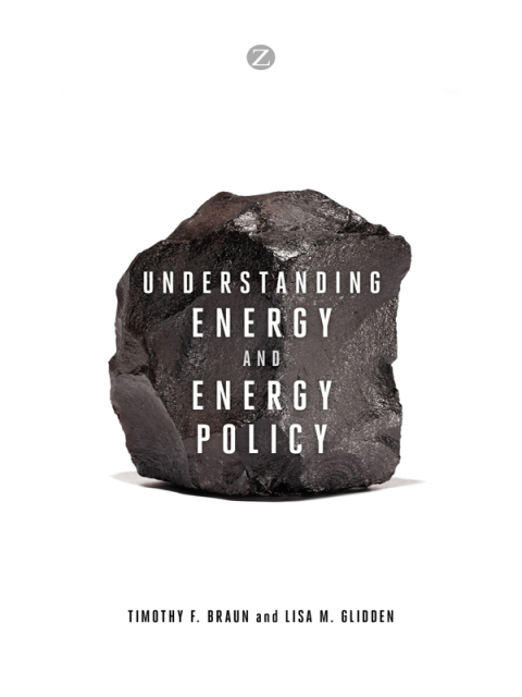 Cover image for book Understanding Energy and Energy Policy