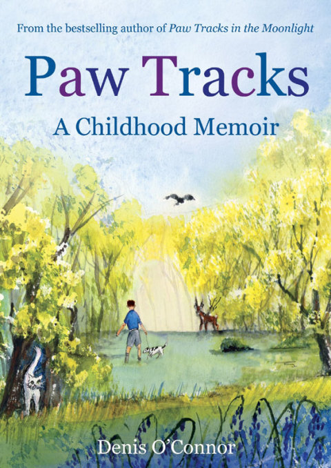 Cover image for book Paw Tracks