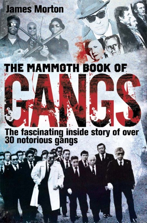 Cover image for book The Mammoth Book of Gangs