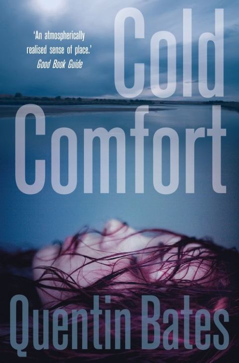 Cover image for book Cold Comfort