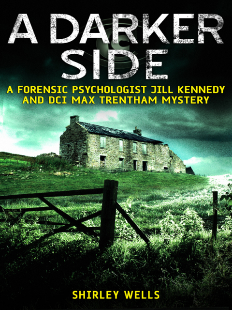 Cover image for book A Darker Side