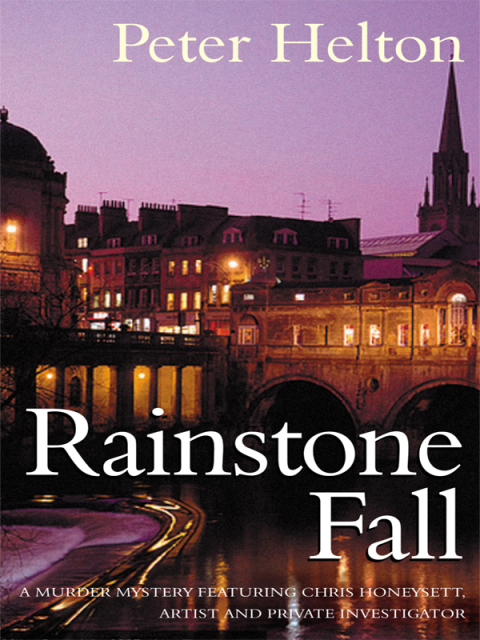 Cover image for book Rainstone Fall