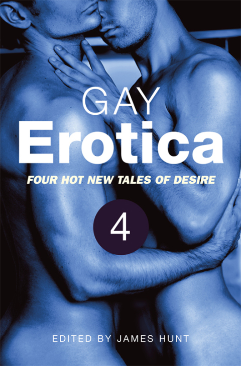 Cover image for book Gay Erotica, Volume 4