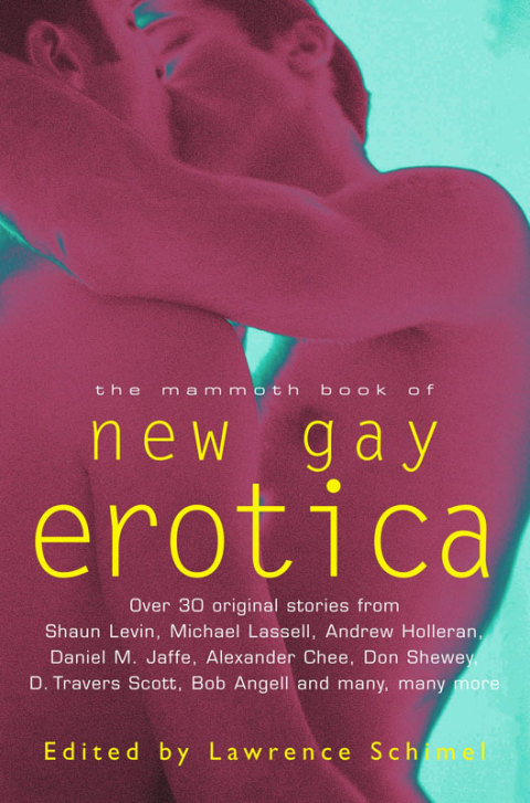 Cover image for book The Mammoth Book of New Gay Erotica