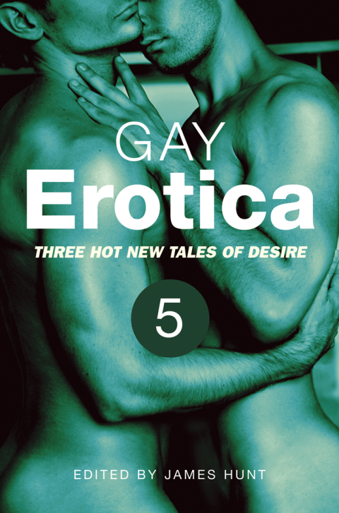 Cover image for book Gay Erotica, Volume 5