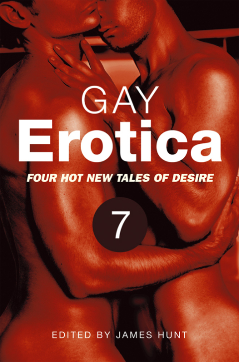 Cover image for book Gay Erotica, Volume 7
