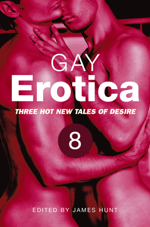 Cover image for book Gay Erotica, Volume 8