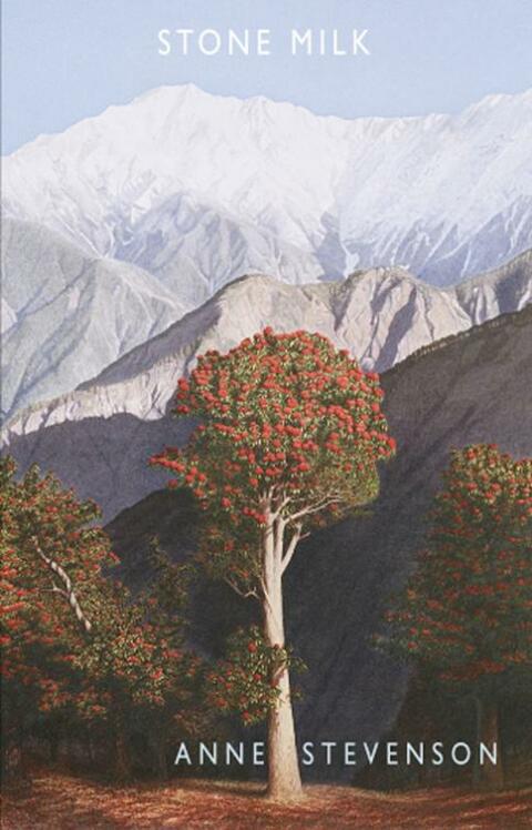 Cover image for book Stone Milk