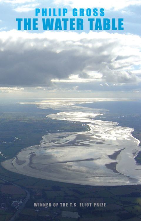 Cover image for book The Water Table