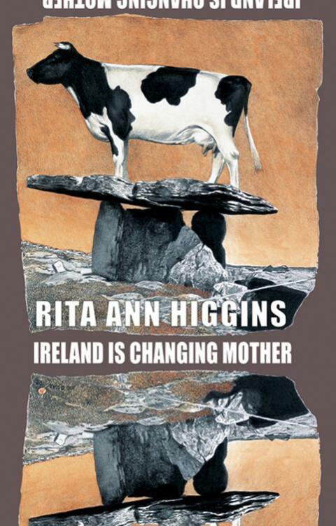 Cover image for book Ireland Is Changing Mother