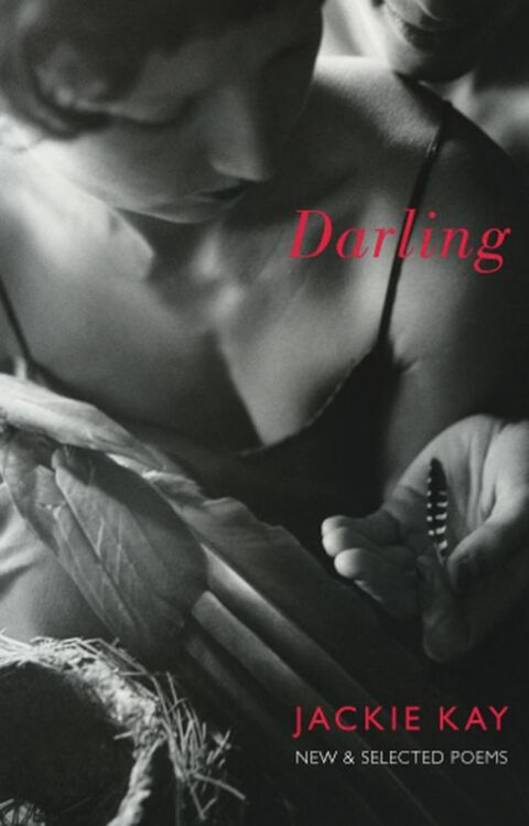 Cover image for book Darling