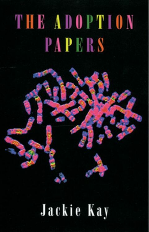 Cover image for book The Adoption Papers