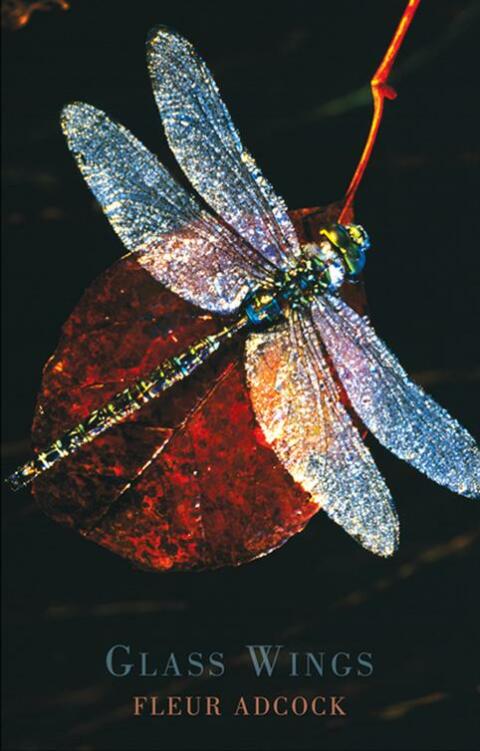 Cover image for book Glass Wings