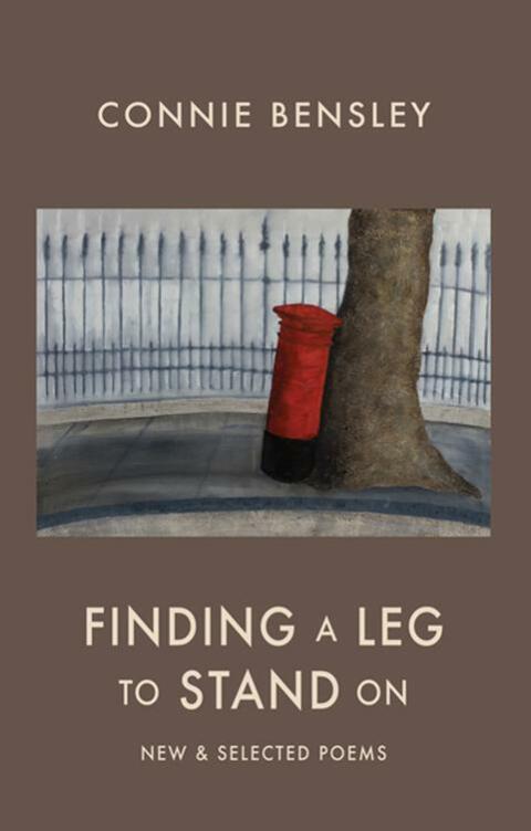 Cover image for book Finding a Leg to Stand On