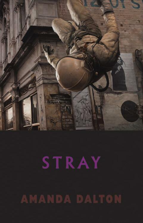 Cover image for book Stray