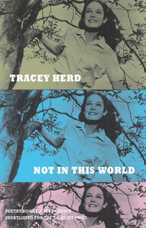 Cover image for book Not in This World