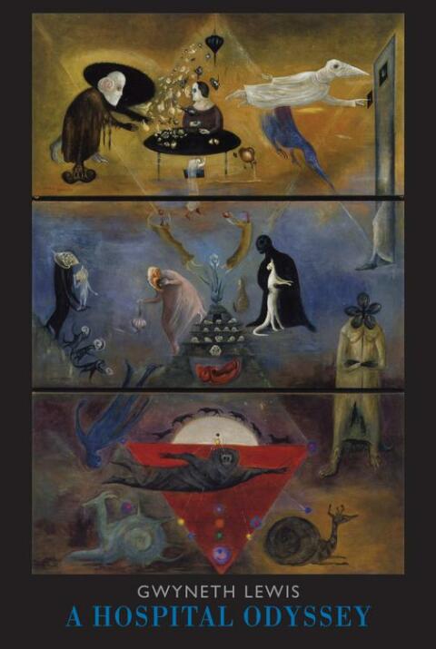 Cover image for book A Hospital Odyssey
