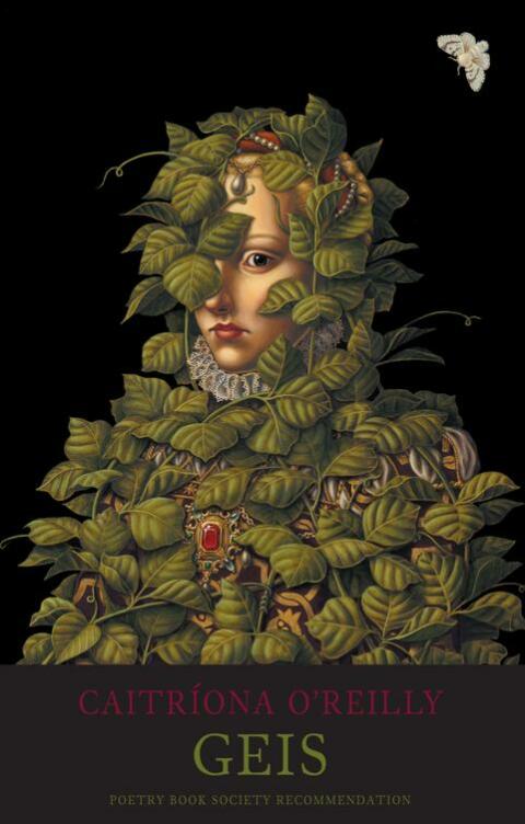 Cover image for book Geis