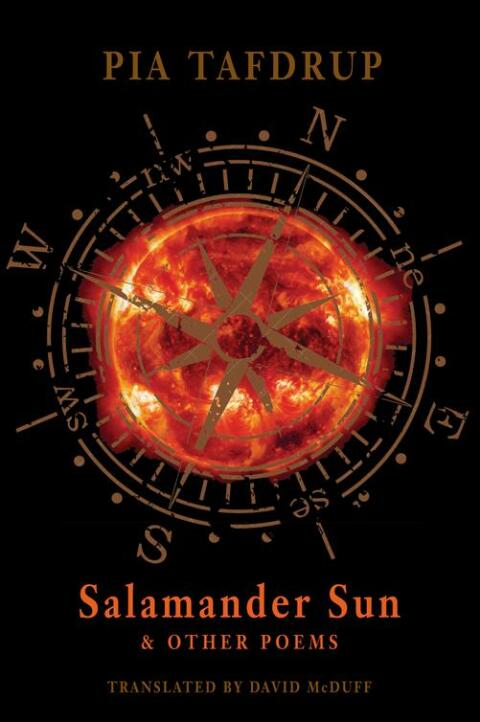 Cover image for book Salamander Sun and other poems