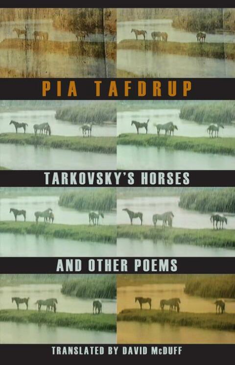 Cover image for book Tarkovsky's Horses and other poems