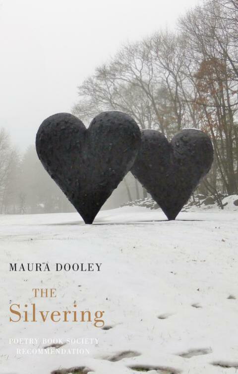 Cover image for book The Silvering