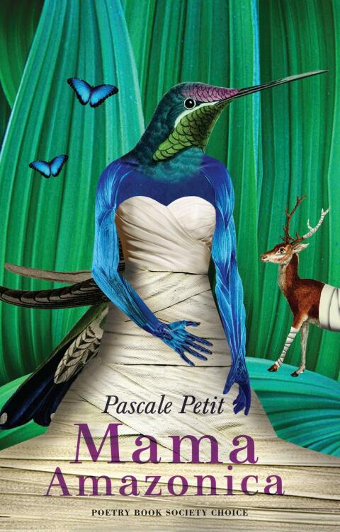 Cover image for book Mama Amazonica
