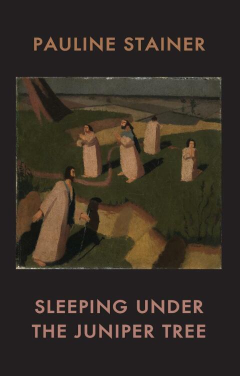 Cover image for book Sleeping under the Juniper Tree