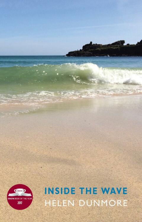 Cover image for book Inside the Wave