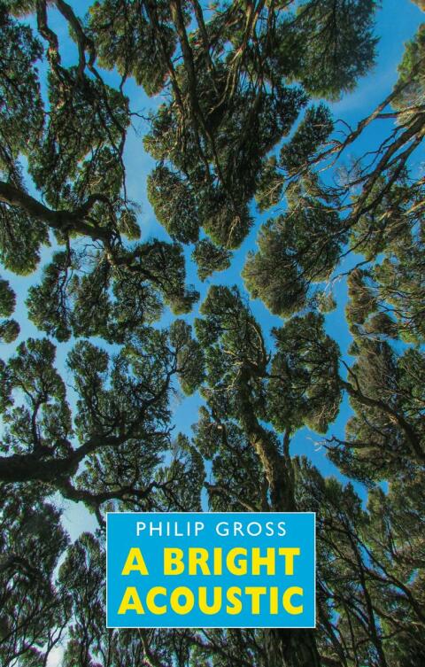 Cover image for book A Bright Acoustic