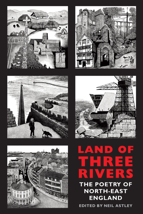 Cover image for book Land of Three Rivers