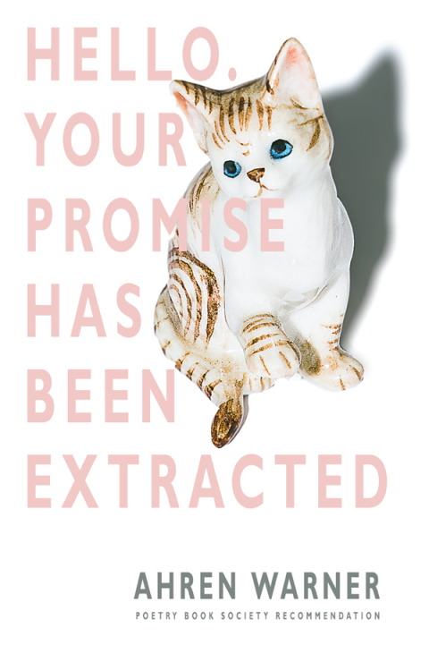 Cover image for book Hello. Your promise has been extracted