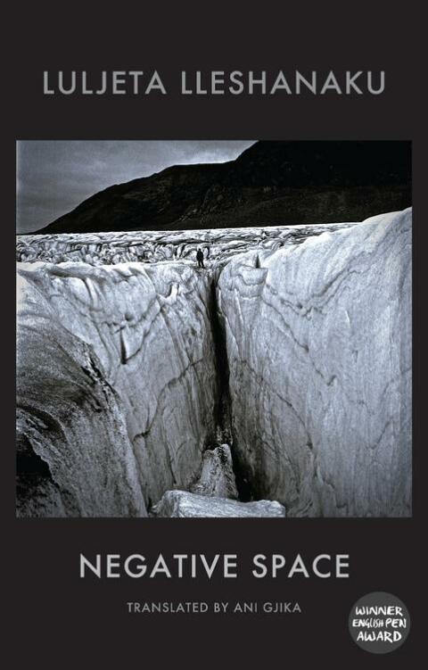 Cover image for book Negative Space