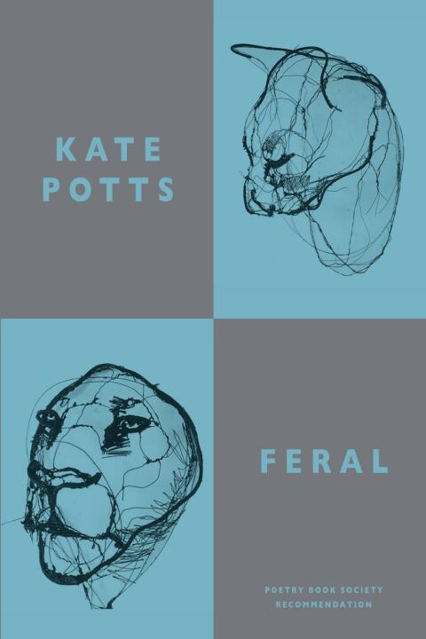 Cover image for book Feral