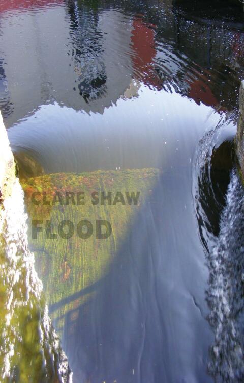 Cover image for book Flood